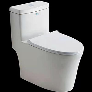 衛(wèi)浴馬桶虹吸式馬桶坐便器無(wú)水箱座便器智能衛(wèi)浴智能馬桶